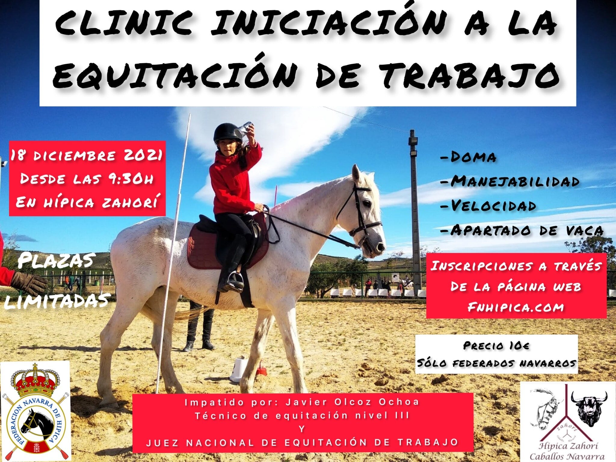 Clinic iniciacion a la equitacion de trabajo
